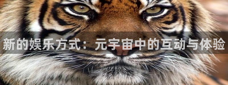 乐球足球：新的娱乐方式：元宇宙中的互动与体验