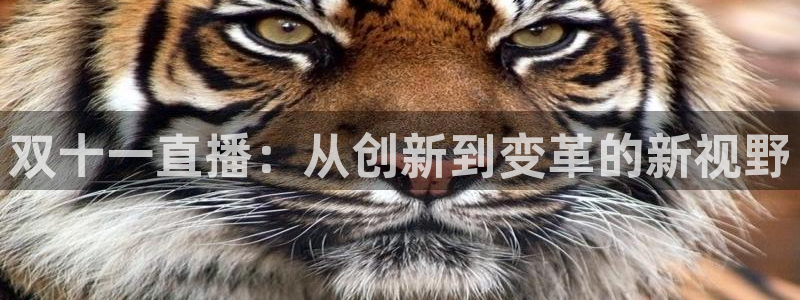 nba乐球吧jrs直播吧：双十一直播：从创新到变革的新视野