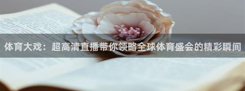 乐球直播免费版：体育大戏：超高清直播带你领略全球体育盛会的精彩瞬间