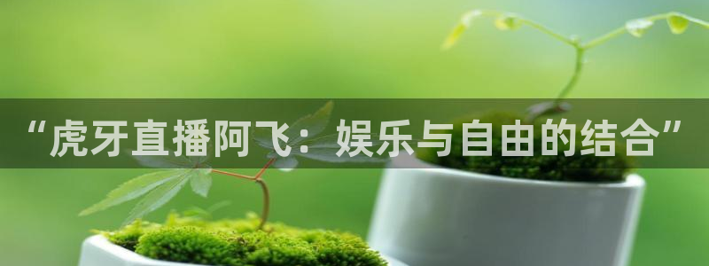 乐球播：“虎牙直播阿飞：娱乐与自由的结合”