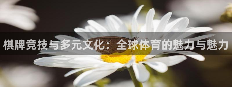 乐球直播(免费版)：棋牌竞技与多元文化：全球体育的魅力与魅力