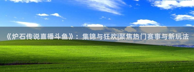 乐球吧免费直播