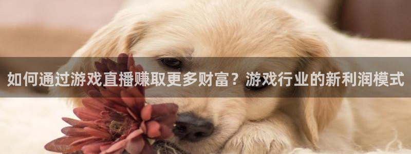 lqlive乐球直播：如何通过游戏直播赚取更多财富？游戏行业的新利润模式